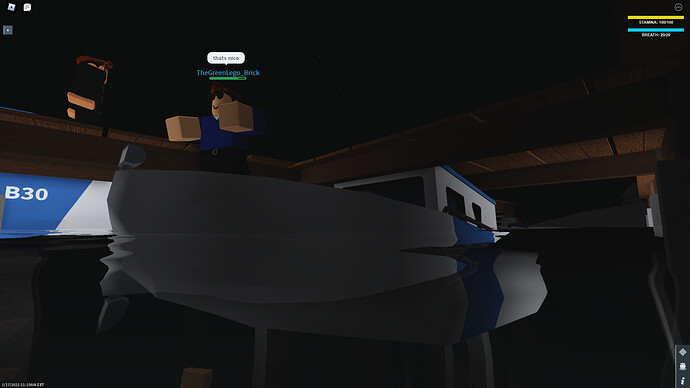 RobloxScreenShot20210117_111902045