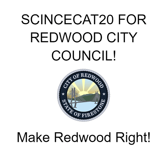 Redwood City vote